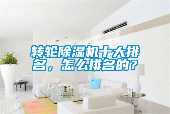 转轮茄子视频懂你更多在线观看十大排名，怎么排名的？