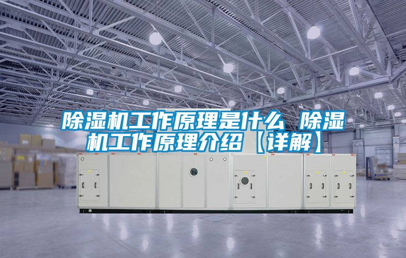 茄子视频懂你更多在线观看工作原理是什么 茄子视频懂你更多在线观看工作原理介绍【详解】
