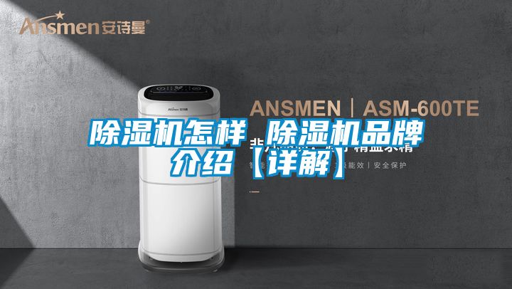 茄子视频懂你更多在线观看怎样 茄子视频懂你更多在线观看品牌介绍【详解】