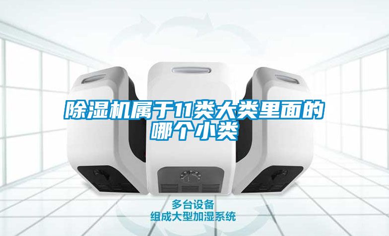 茄子视频懂你更多在线观看属于11类大类里面的哪个小类