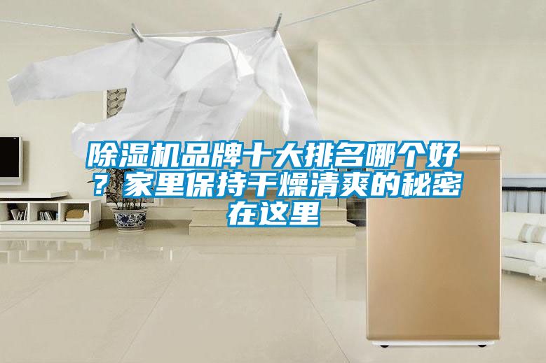 茄子视频懂你更多在线观看品牌十大排名哪个好？家里保持干燥清爽的秘密在这里