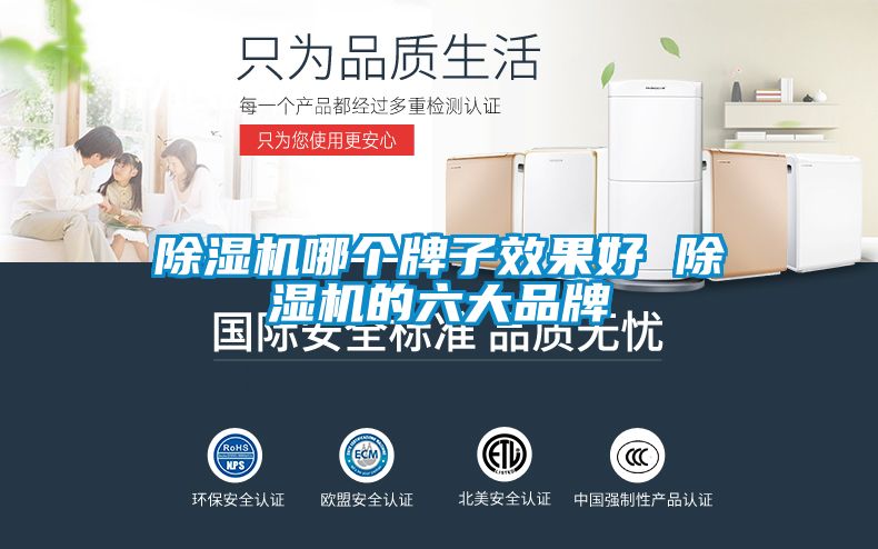 茄子视频懂你更多在线观看哪个牌子效果好 茄子视频懂你更多在线观看的六大品牌