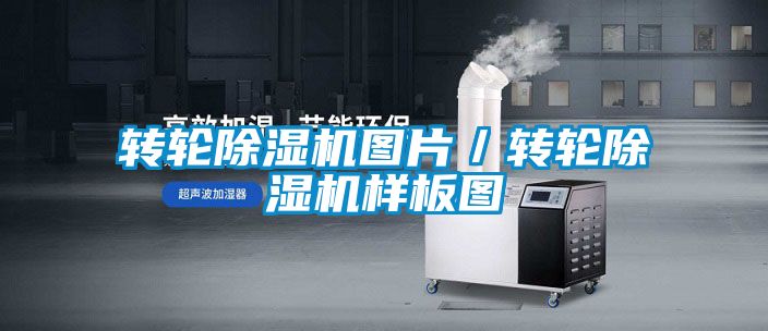 转轮茄子视频懂你更多在线观看图片／转轮茄子视频懂你更多在线观看样板图