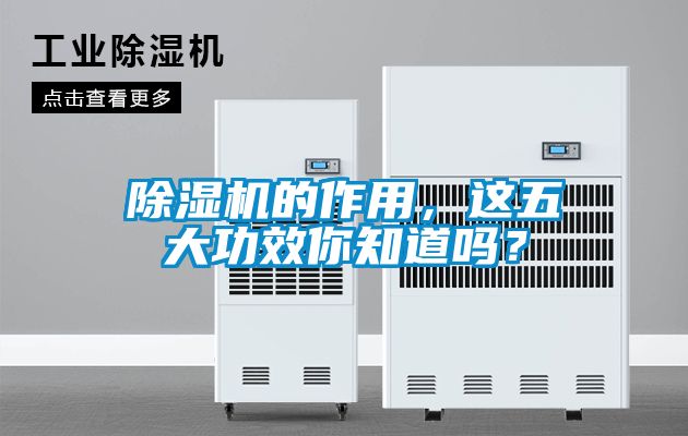 茄子视频懂你更多在线观看的作用，这五大功效你知道吗？