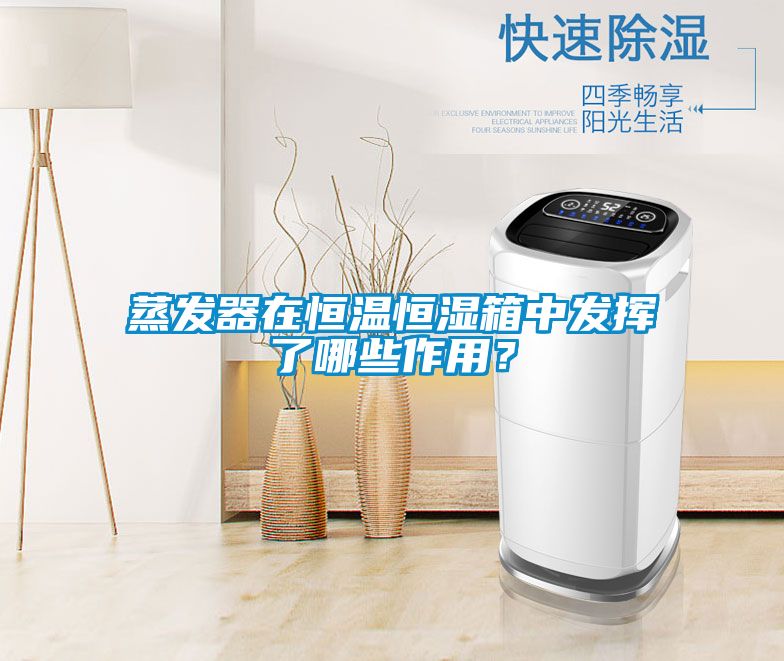 蒸发器在恒温恒湿箱中发挥了哪些作用？