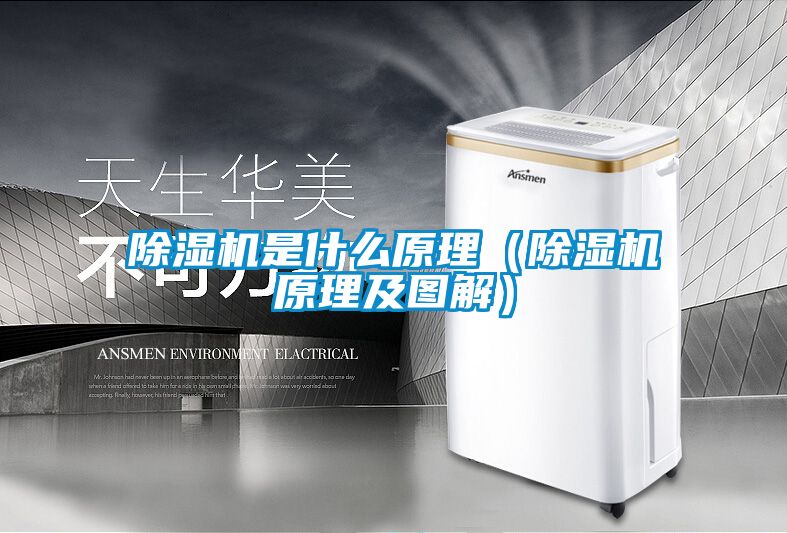 茄子视频懂你更多在线观看是什么原理（茄子视频懂你更多在线观看原理及图解）