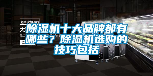 茄子视频懂你更多在线观看十大品牌都有哪些？茄子视频懂你更多在线观看选购的技巧包括