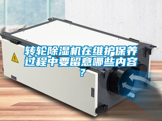 转轮茄子视频懂你更多在线观看在维护保养过程中要留意哪些内容？