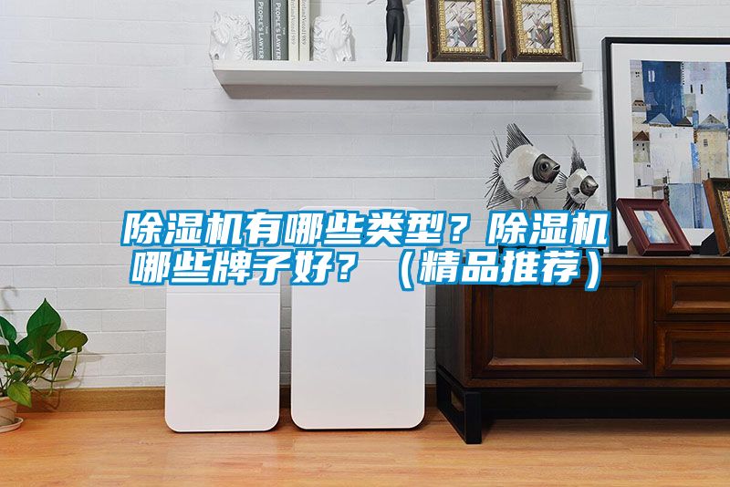 茄子视频懂你更多在线观看有哪些类型？茄子视频懂你更多在线观看哪些牌子好？（精品推荐）