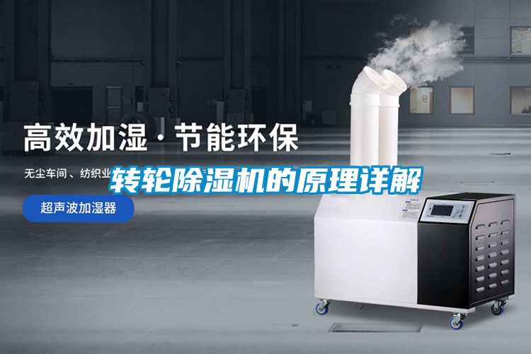 转轮茄子视频懂你更多在线观看的原理详解