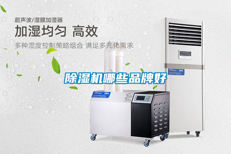 茄子视频懂你更多在线观看哪些品牌好