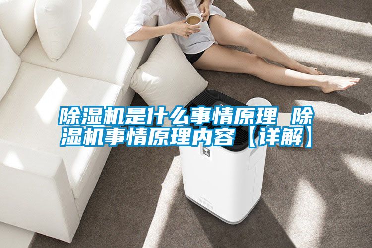 茄子视频懂你更多在线观看是什么事情原理 茄子视频懂你更多在线观看事情原理内容【详解】