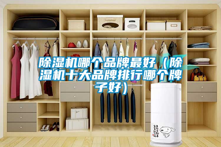 茄子视频懂你更多在线观看哪个品牌最好（茄子视频懂你更多在线观看十大品牌排行哪个牌子好）