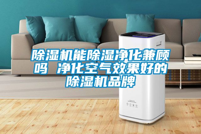 茄子视频懂你更多在线观看能除湿净化兼顾吗 净化空气效果好的茄子视频懂你更多在线观看品牌