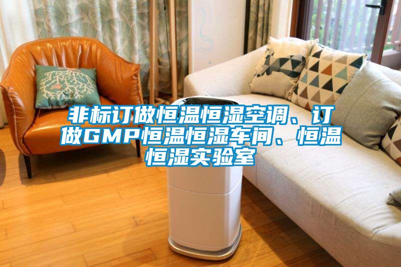 非标订做恒温恒湿空调、订做GMP恒温恒湿车间、恒温恒湿实验室