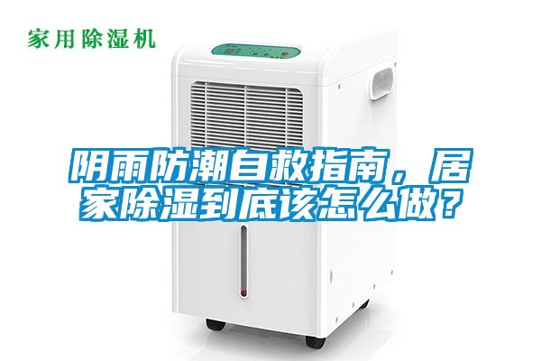 阴雨防潮自救指南，居家除湿到底该怎么做？