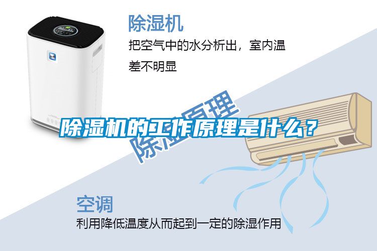 茄子视频懂你更多在线观看的工作原理是什么？