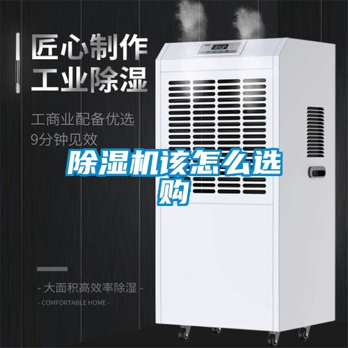 茄子视频懂你更多在线观看该怎么选购