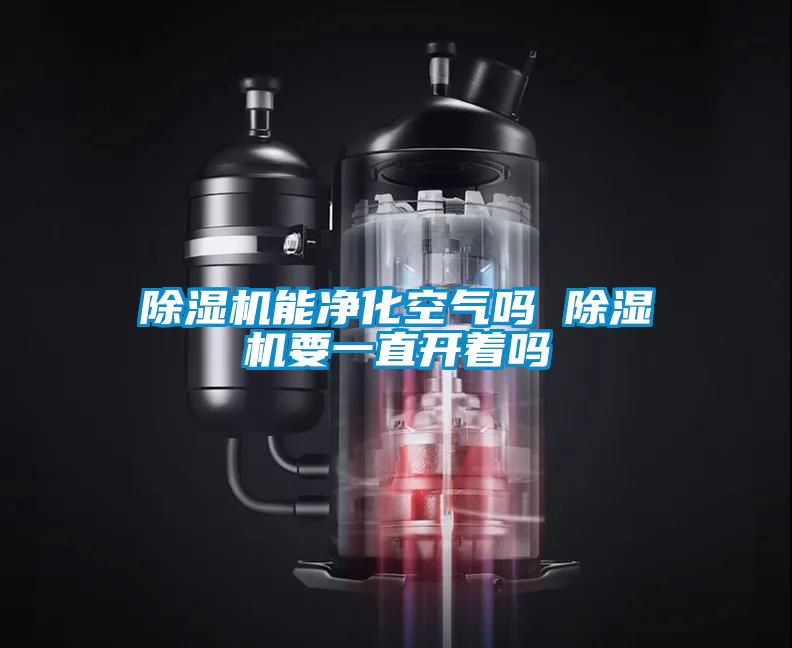 茄子视频懂你更多在线观看能净化空气吗 茄子视频懂你更多在线观看要一直开着吗