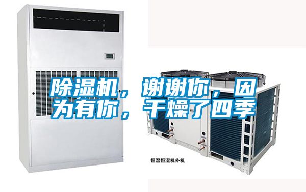 茄子视频懂你更多在线观看，谢谢你，因为有你，干燥了四季