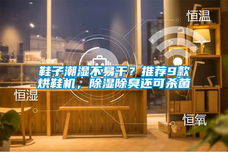鞋子潮湿不易干？推荐9款烘鞋机，除湿除臭还可杀菌