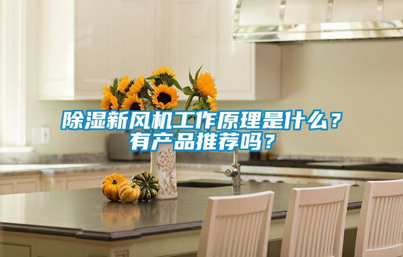 除湿新风机工作原理是什么？有产品推荐吗？