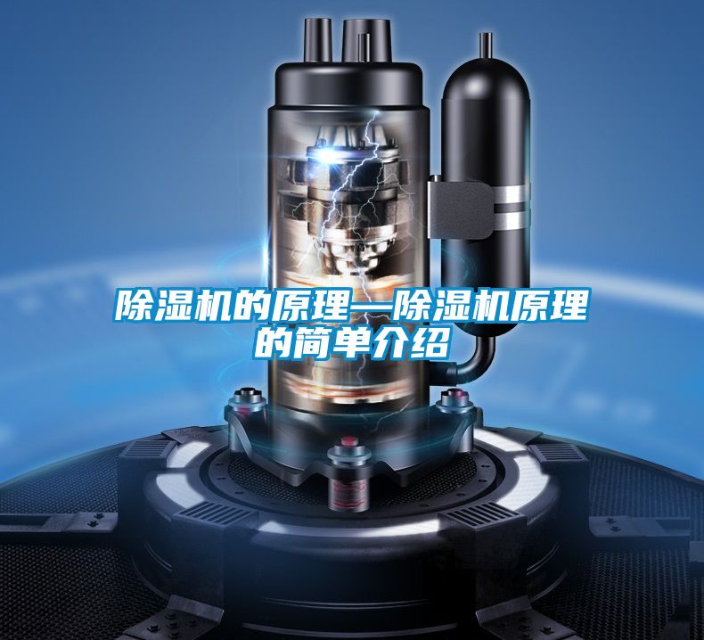 茄子视频懂你更多在线观看的原理—茄子视频懂你更多在线观看原理的简单介绍