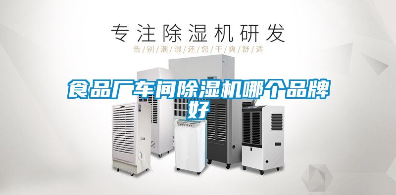 食品厂车间茄子视频懂你更多在线观看哪个品牌好