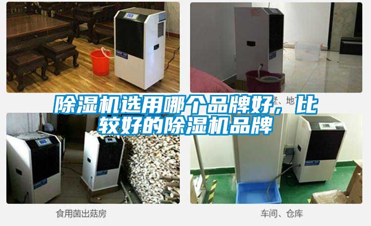 茄子视频懂你更多在线观看选用哪个品牌好，比较好的茄子视频懂你更多在线观看品牌