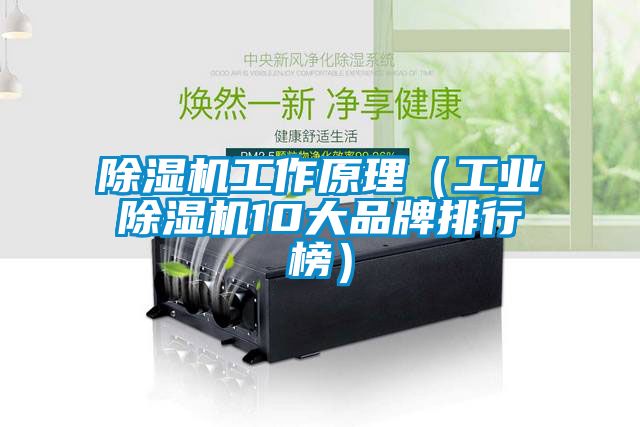 茄子视频懂你更多在线观看工作原理（工业茄子视频懂你更多在线观看10大品牌排行榜）