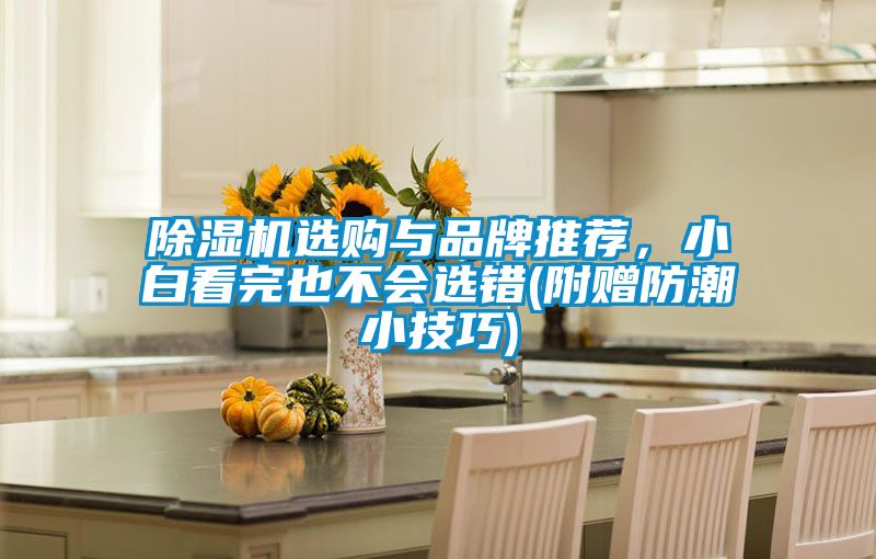 茄子视频懂你更多在线观看选购与品牌推荐，小白看完也不会选错(附赠防潮小技巧)