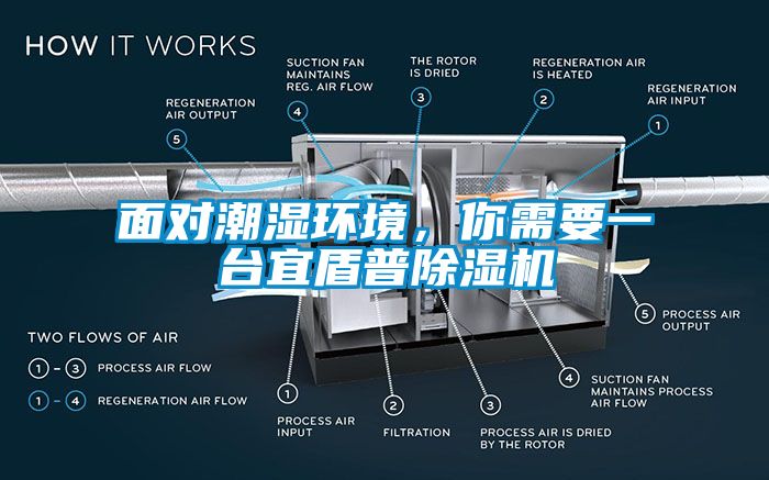 面对潮湿环境，你需要一台宜盾普茄子视频懂你更多在线观看