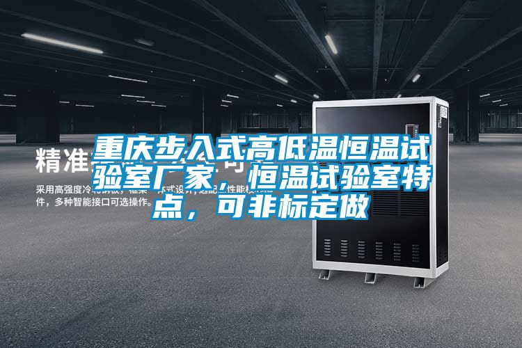 重庆步入式高低温恒温试验室厂家，恒温试验室特点，可非标定做