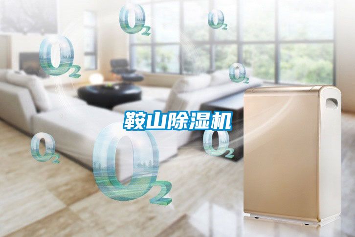 鞍山茄子视频懂你更多在线观看