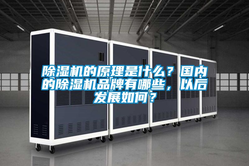 茄子视频懂你更多在线观看的原理是什么？国内的茄子视频懂你更多在线观看品牌有哪些，以后发展如何？