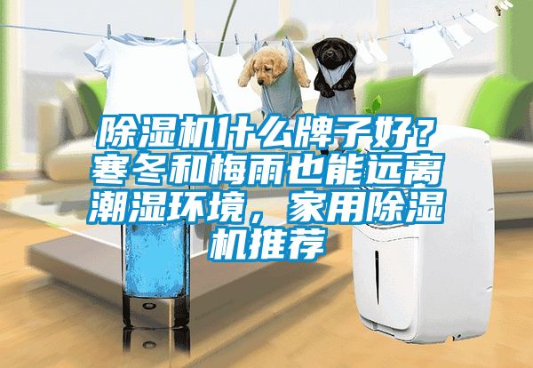 茄子视频懂你更多在线观看什么牌子好？寒冬和梅雨也能远离潮湿环境，家用茄子视频懂你更多在线观看推荐