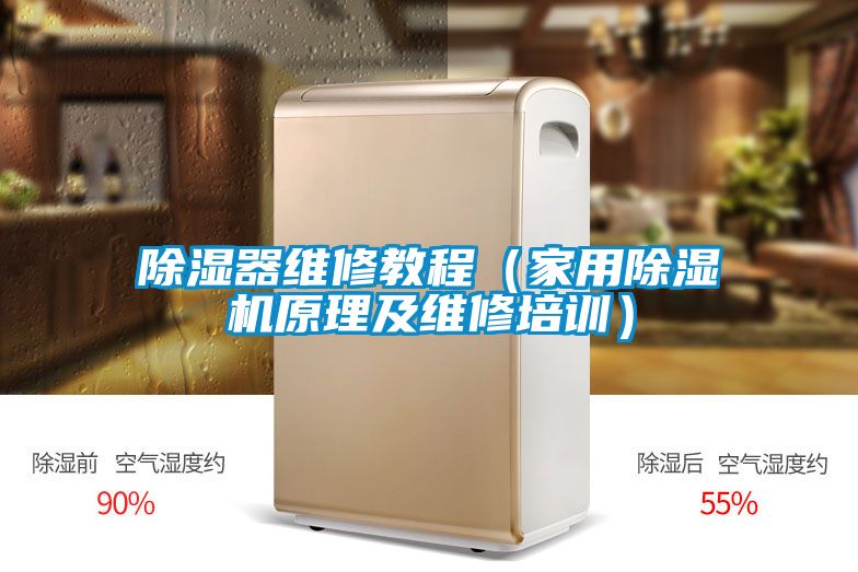除湿器维修教程（家用茄子视频懂你更多在线观看原理及维修培训）