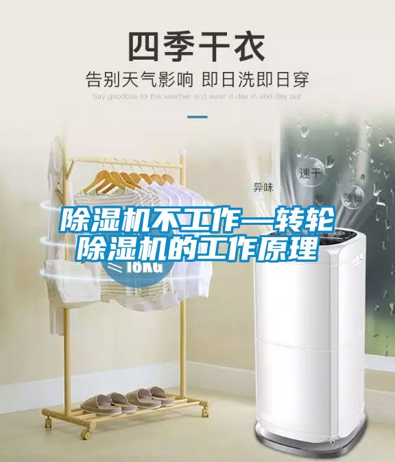 茄子视频懂你更多在线观看不工作—转轮茄子视频懂你更多在线观看的工作原理