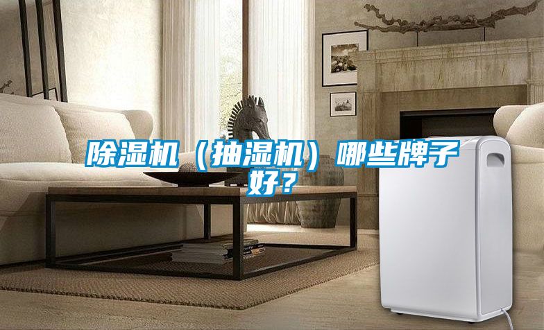 茄子视频懂你更多在线观看（抽湿机）哪些牌子好？