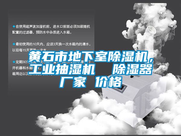 黄石市地下室茄子视频懂你更多在线观看，工业抽湿机  除湿器厂家 价格