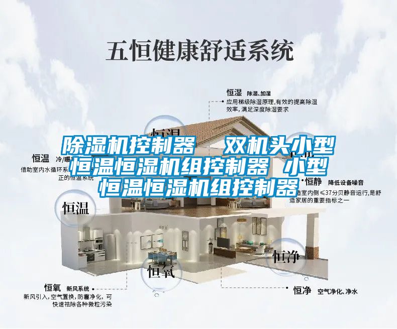 茄子视频懂你更多在线观看控制器  双机头小型恒温恒湿机组控制器 小型恒温恒湿机组控制器