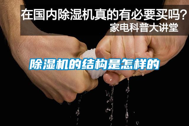 茄子视频懂你更多在线观看的结构是怎样的