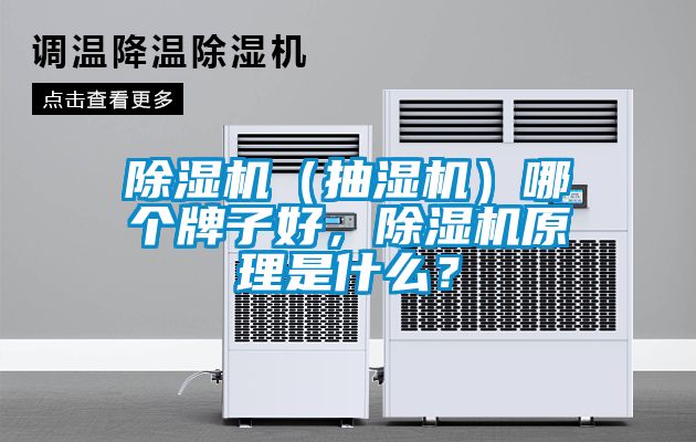 茄子视频懂你更多在线观看（抽湿机）哪个牌子好，茄子视频懂你更多在线观看原理是什么？