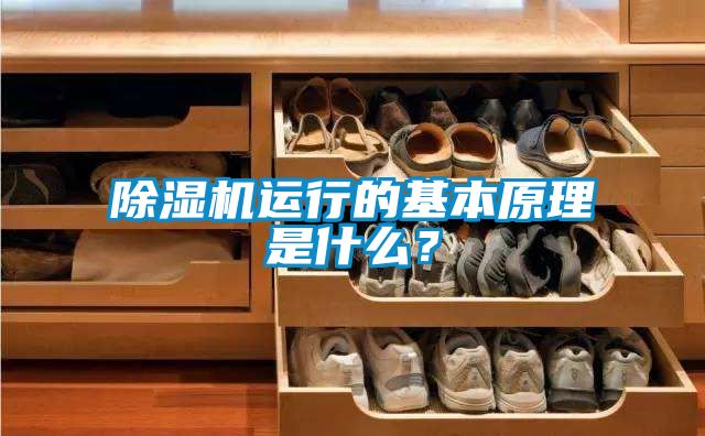 茄子视频懂你更多在线观看运行的基本原理是什么？