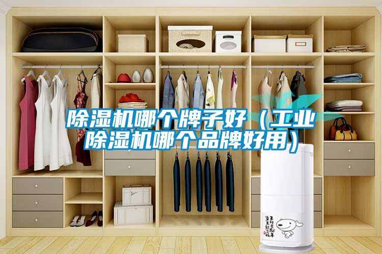 茄子视频懂你更多在线观看哪个牌子好（工业茄子视频懂你更多在线观看哪个品牌好用）