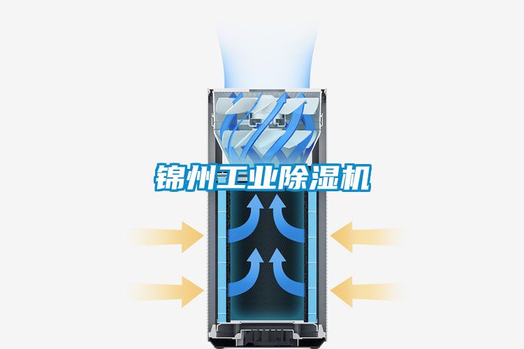 锦州工业茄子视频懂你更多在线观看