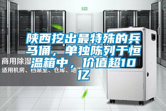 陕西挖出最特殊的兵马俑，单独陈列于恒温箱中，价值超10亿