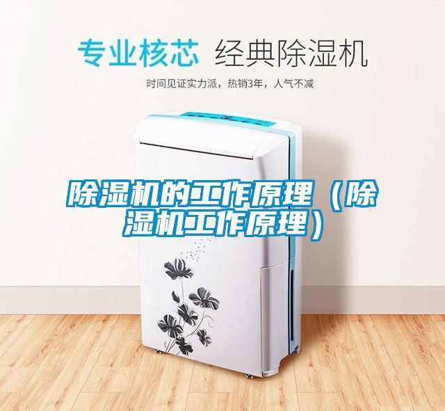 茄子视频懂你更多在线观看的工作原理（茄子视频懂你更多在线观看工作原理）
