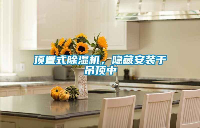 顶置式茄子视频懂你更多在线观看，隐藏安装于吊顶中