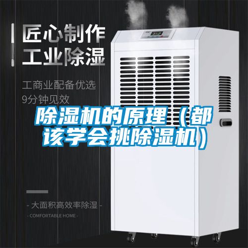 茄子视频懂你更多在线观看的原理（都该学会挑茄子视频懂你更多在线观看）